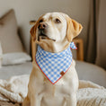 Load image into Gallery viewer, Sky Blue Plaid Dog Bandana