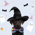 Load image into Gallery viewer, Boo-tiful Bones Dog Lady Bow