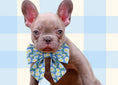 Load image into Gallery viewer, Daisy Dreams Dog Lady Bow