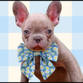 Load image into Gallery viewer, Daisy Dreams Dog Lady Bow