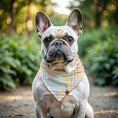 Load image into Gallery viewer, Sunrise Plaid Dog Bandana