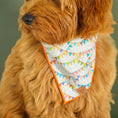 Load image into Gallery viewer, Birthday Flags Dog Bandana