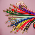 Load image into Gallery viewer, Navy Climbing Rope Dog Leash