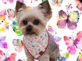 Load image into Gallery viewer, Butterfly Dog Bandana
