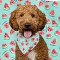Load image into Gallery viewer, Watermelon Dog Bandana