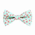 Load image into Gallery viewer, Watermelon dog Bow Tie