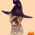 Load image into Gallery viewer, Jack-O-Lantern Dog Bandana