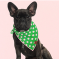 Load image into Gallery viewer, Polka dots Dog Bandana