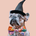 Load image into Gallery viewer, Jack-o-lantern Dog Bow Tie