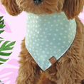 Load image into Gallery viewer, Green Spotty Dots Dog Bandana
