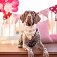 Load image into Gallery viewer, B.day candles Dog Bandana