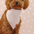 Load image into Gallery viewer, Pink Doted Dog Bandana
