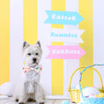 Load image into Gallery viewer, Bunny Dog Bow Tie