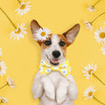 Load image into Gallery viewer, Happy Daisies Dog Bow Tie