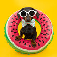 Load image into Gallery viewer, Watermelon dog Bow Tie
