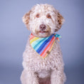 Load image into Gallery viewer, Spring Rainbow Dog Bandana