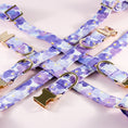 Load image into Gallery viewer, Pansy Flower Dog Collar