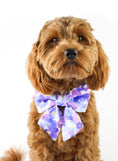 Load image into Gallery viewer, Pansy Flower Dog Lady Bow