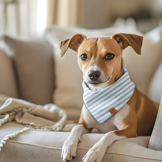 Blue Stripe Dog Bandana