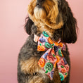 Load image into Gallery viewer, Jack-o-lantern Dog Lady Bow
