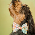 Load image into Gallery viewer, Sunrise Plaid Dog Bow Tie

