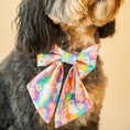 Load image into Gallery viewer, Spooky Dog Bow Tie

