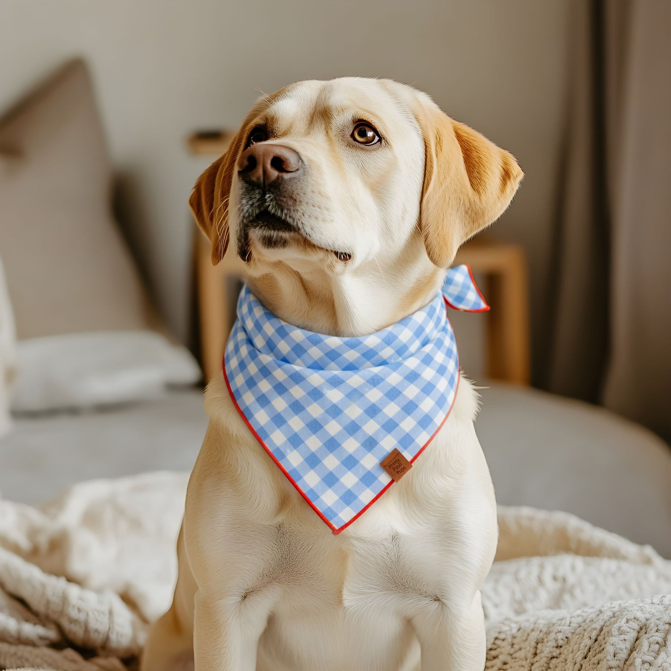 Sky Blue Plaid Dog Bandana