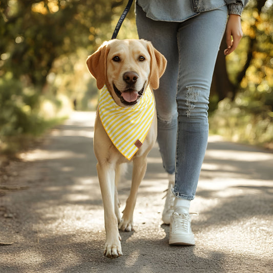 yellow Stripe Dog Bandana