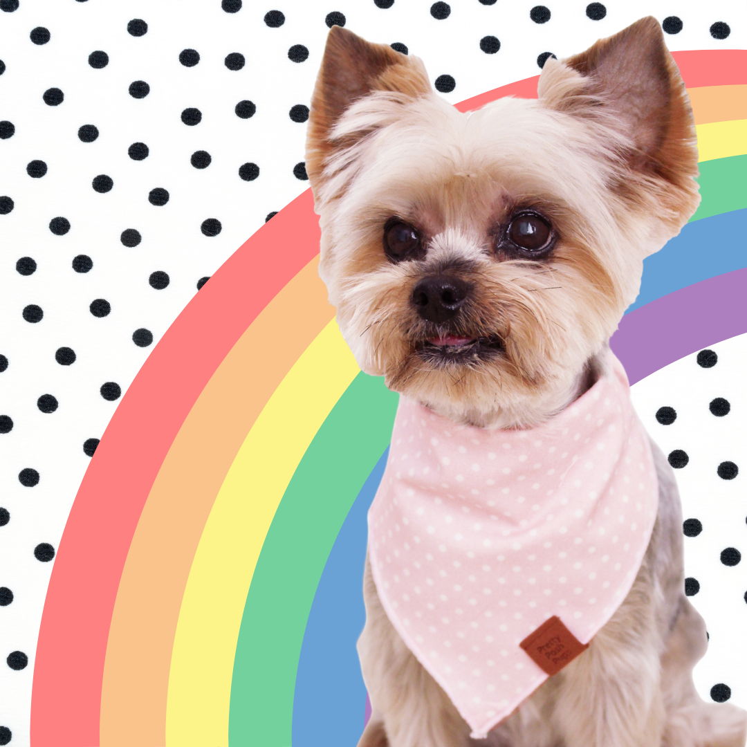 Pink Doted Dog Bandana