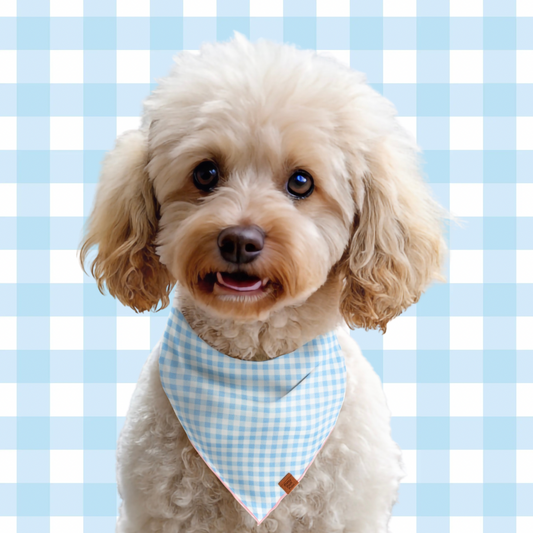 Baby Blue Plaid Dog Bandana