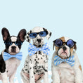 Load image into Gallery viewer, Sky Blue Plaid Dog Bow Tie
