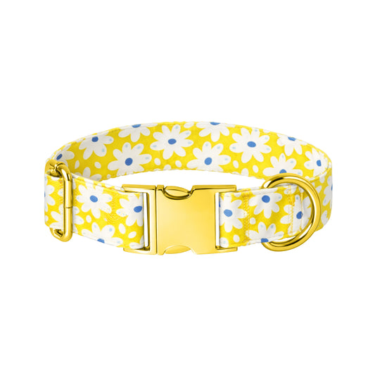 Happy Daisy Dog Collar
