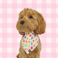Load image into Gallery viewer, Paw-sicle treat Dog Bandana
