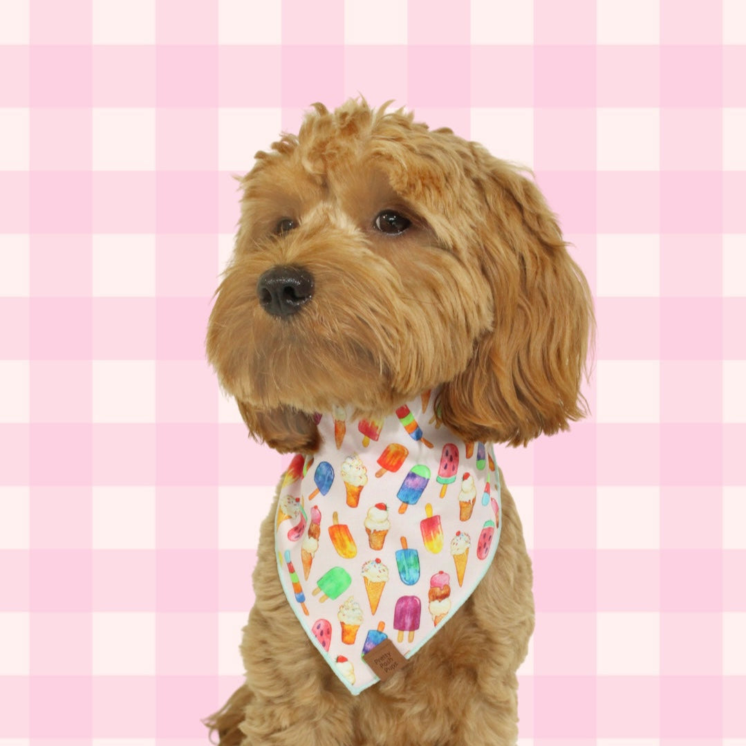 Paw-sicle treat Dog Bandana