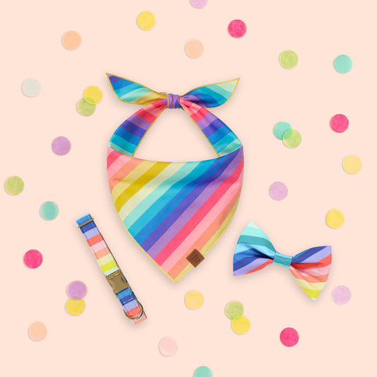 Spring Rainbow Dog Collar