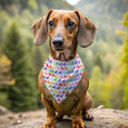 Load image into Gallery viewer, Da La La La Dog Bandana
