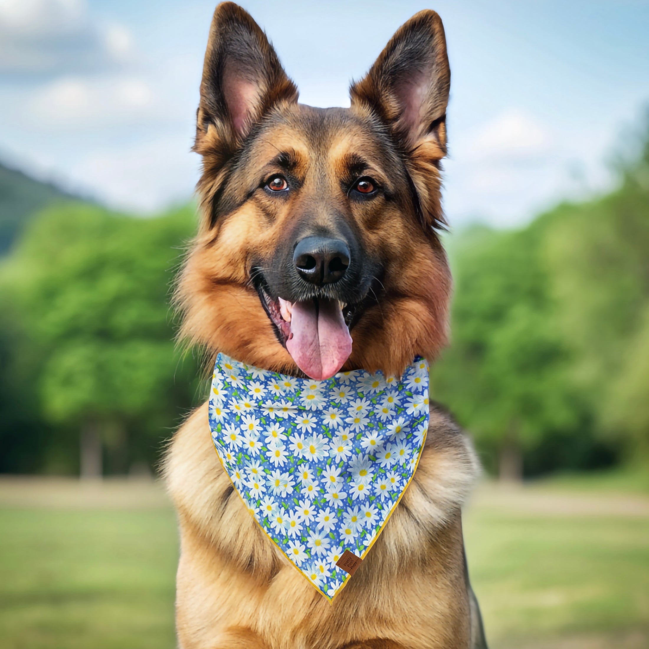 Daisy Dreams Dog Bandana