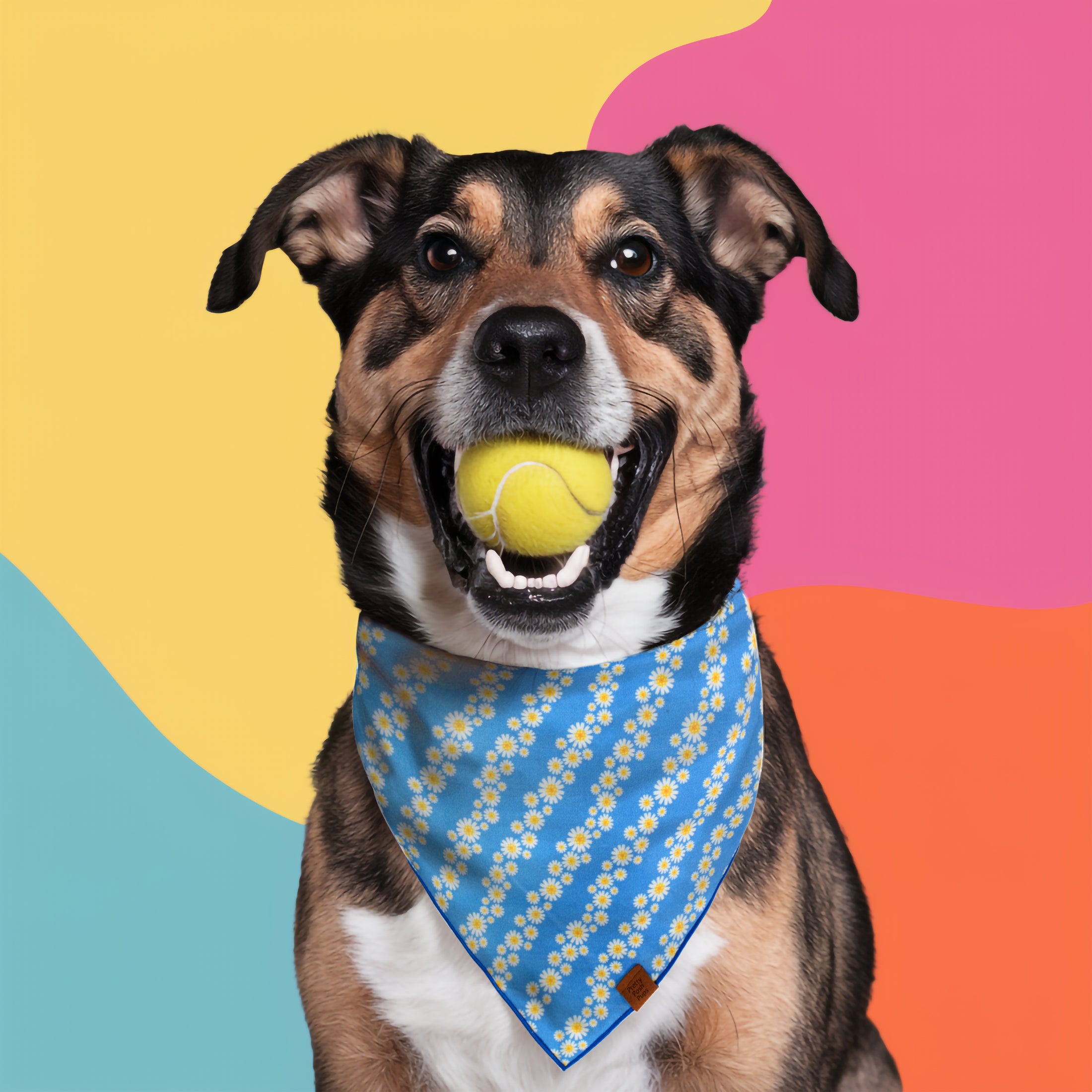 Diagonal Daisy Dog Bandana