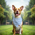 Load image into Gallery viewer, Blue Dotted Dog Bandana
