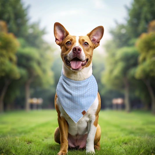Blue Dotted Dog Bandana