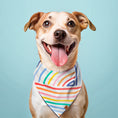 Load image into Gallery viewer, Rainbow Dog Bandana
