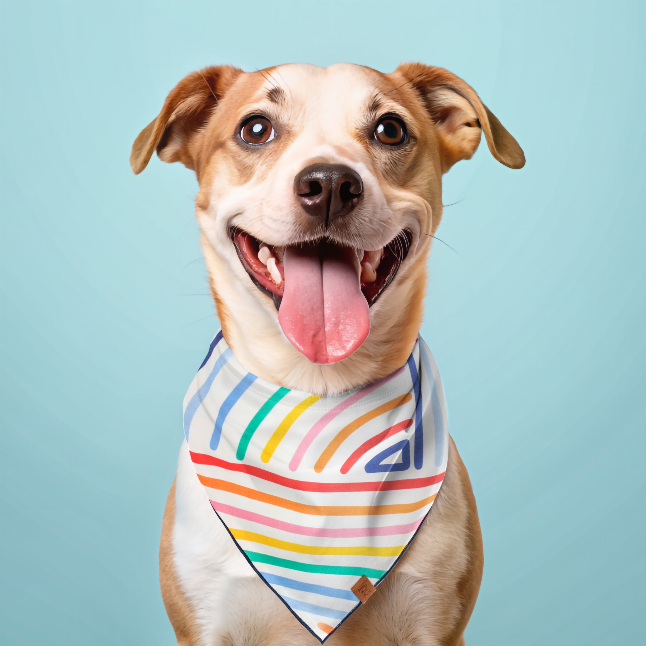 Rainbow Dog Bandana