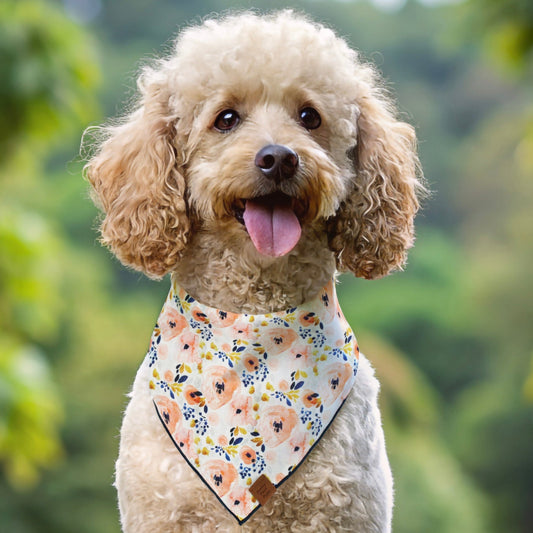 Floral Fido Dog Bandana