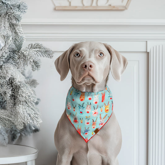 Rudolph Dog Bandana
