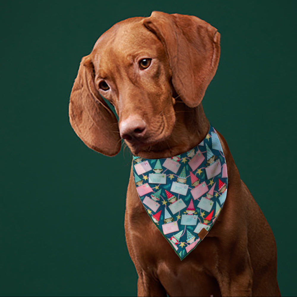 Letters For Santa Dog Bandana