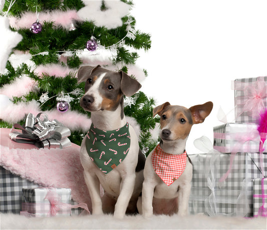Candy Cane Dog Bandana