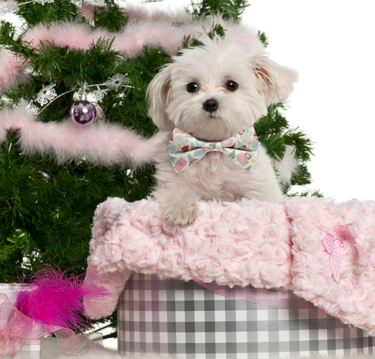 WHITE Letters for Santa Dog Bow Tie