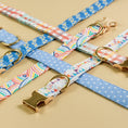 Load image into Gallery viewer, Rainbow Dog Collar
