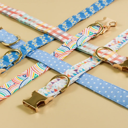 Rainbow Dog Collar