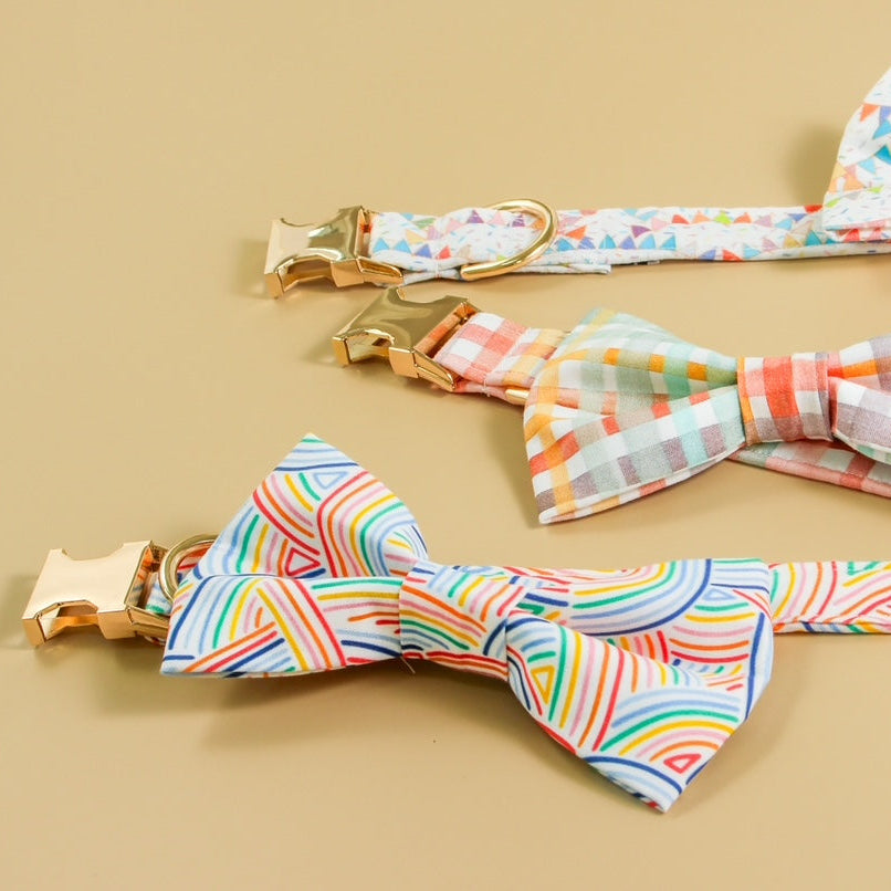Rainbow Dog Collar